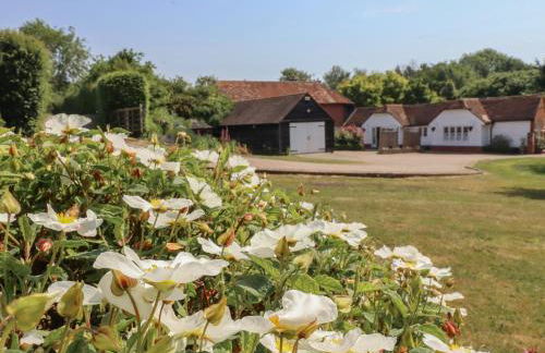 Oast Cottage - Foto 57