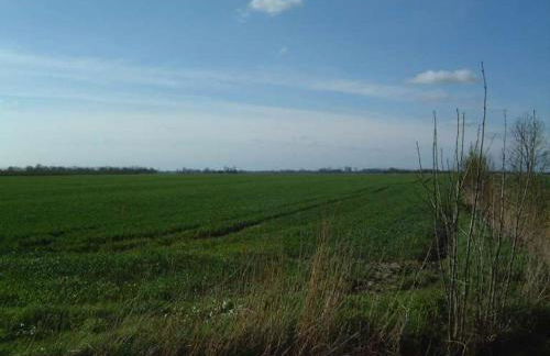 Zur alten Schmiede - Photo 12