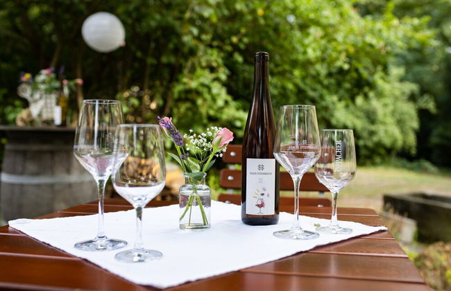 Ferienwohnungen Haus Steinbach - Foto 27