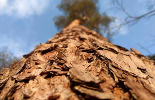 Ferienapartment am See mit Kajak SUP Verleih - Foto 16