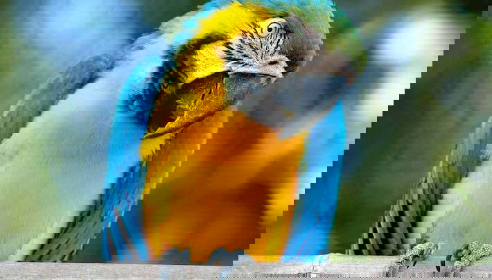 Entrada al Bioparco de Roma - Foto 2