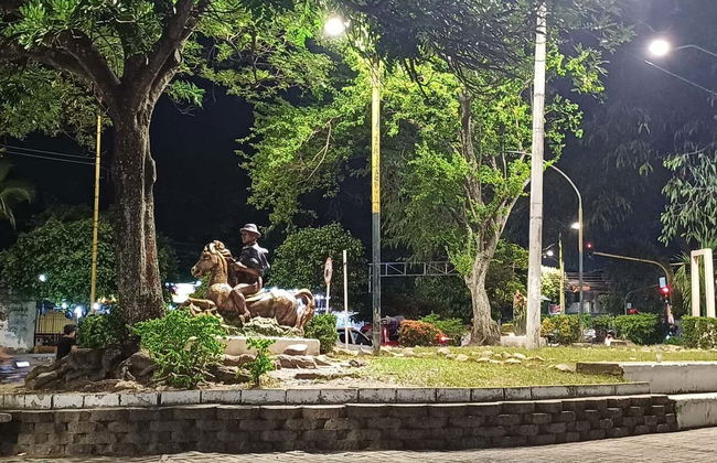 Tour panorámico por Neiva + Clase de baile folclórico - Foto 3