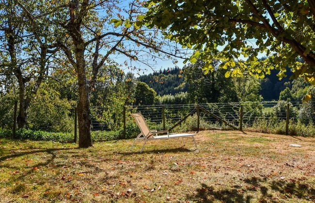Holiday Home in Auvergne With Roofed Garden and Terrace - Foto 52