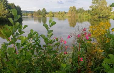 Haus Rosenbusch - Foto 24