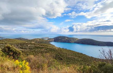 Villa Ana Apartments - Photo 53