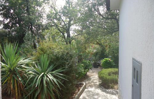 Apartments Barbara - Photo 55