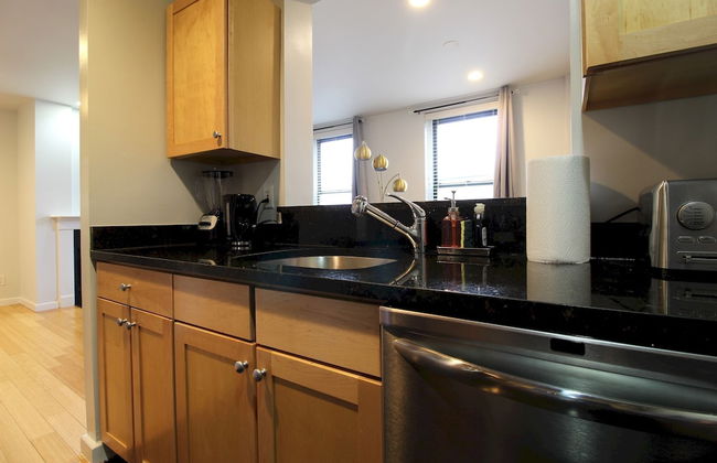 Luxury & Stylish 1br/1ba in Boston South End - BU Medical - Foto 14
