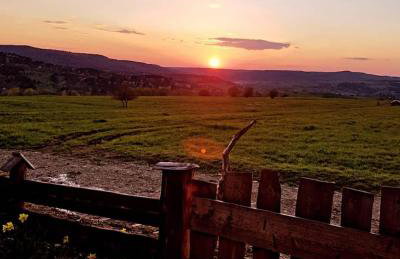 Jabłoniowy Sad Kalwaria Pacławska - Foto 22