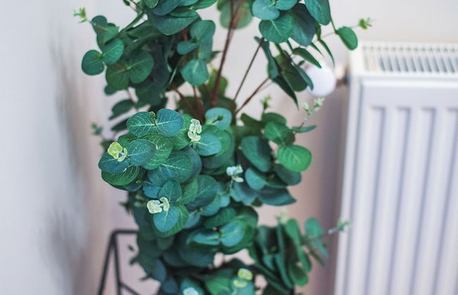 HB apartments University - Foto 48