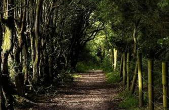 'Mill Cottage' Parbold - Foto 38