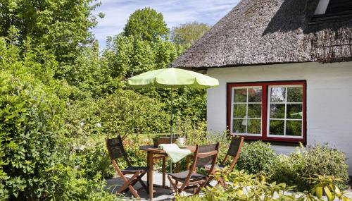 Reetdachhaus nahe der Ostsee mit Sauna und Garten - Foto 4