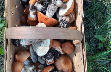 Cozy Cabin - Foto 28