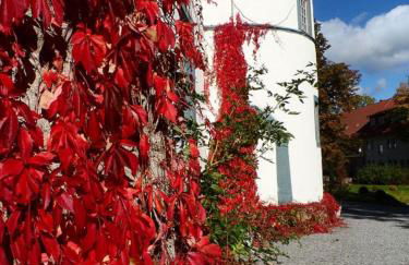 Schloß Roßdorf Ferienwohnungen & Camping - Foto 38