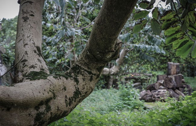 Casa do Pico da Pedra - Foto 9