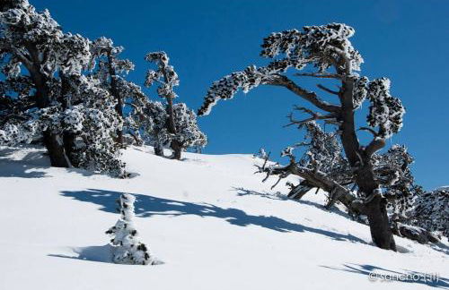 Tana di Zia Nature, Yourself, Love - Foto 36