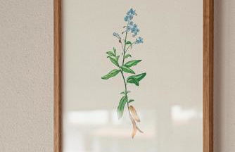 Agriturismo La Costa - Photo 45