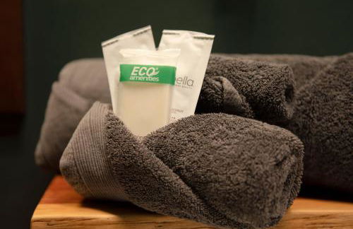 Downtown Lynchburg, Vintage Courtyard Loft, Va - Foto 38