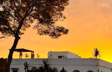 Can Yuca I - Foto 24