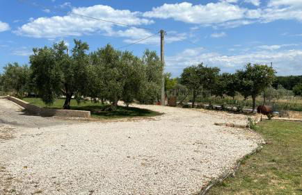 Casa Vacanze Cerreto 1 - Foto 14