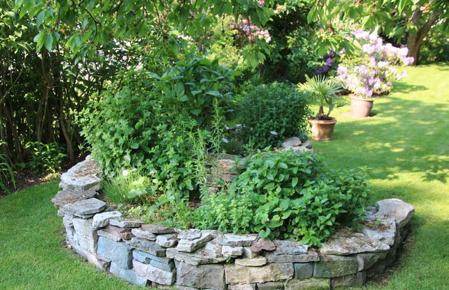 Cosy Apartment in the Harz Mountains - Foto 22