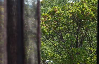 Villa St Ange - Foto 8