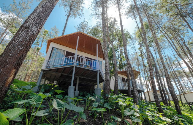 La Pino Mount Batur and Hot Spring - Foto 35