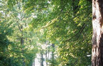 Ferienhof Barthel - Foto 68