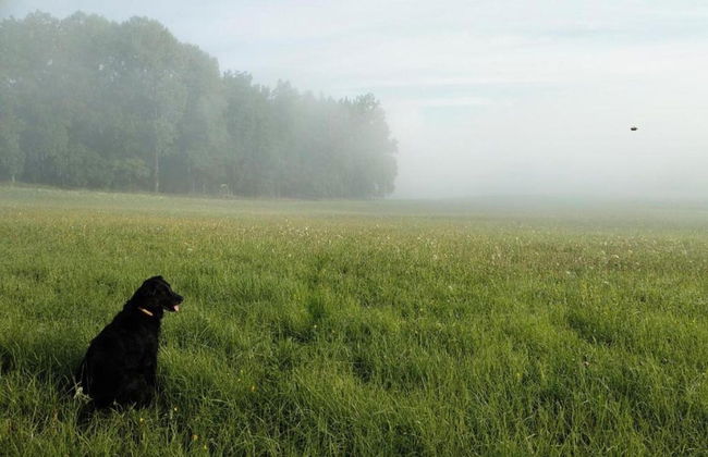 Private Pool & Terrace Stay - Foto 29