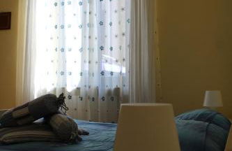 i tulipani - Foto 75