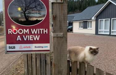 Room with a view - Photo 2