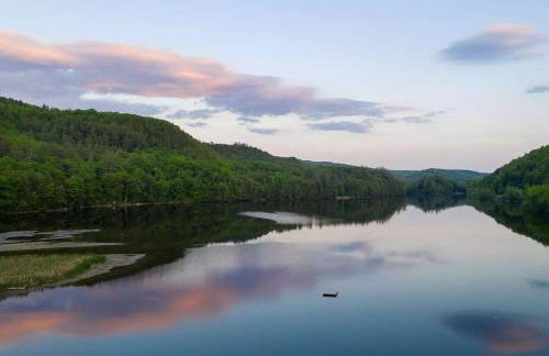 TymeoffVT cabin in the woods - Hot Tub , EV chg - Foto 16