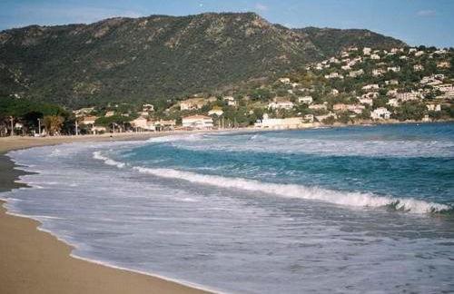 Studio coin nuit 4 pers, parking, animaux admis, proche plage - Le Lavandou - FR-1-251-230 - Foto 12