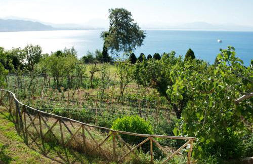 Sopra il Limoneto - Foto 11