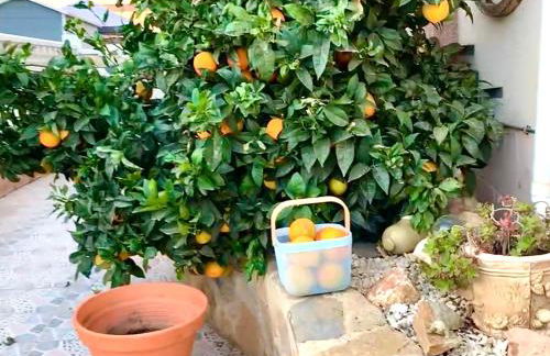 Familienhaus in Cabo Roig - Foto 5