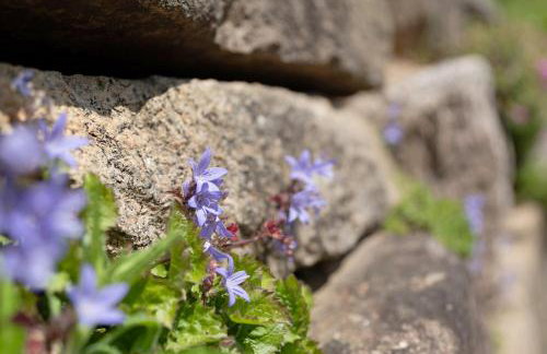 Fewo Kohler - Foto 6