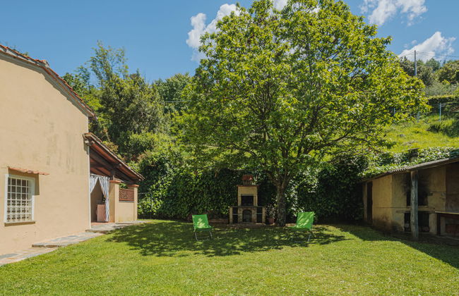 Di Carlino - Foto 25