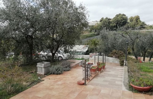 Agriturismo il Grande Ulivo - Foto 16