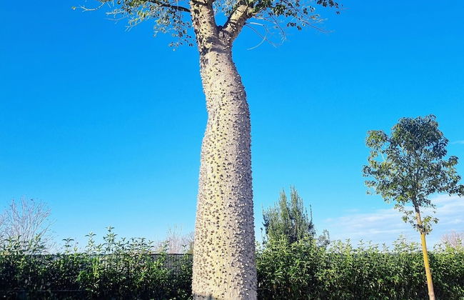 Ro agrimaison - Foto 43