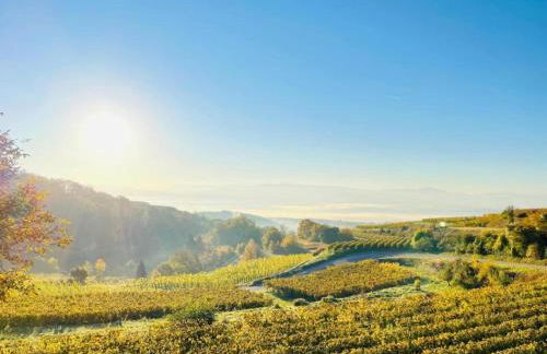 Holiday Apartment Monet in Oberrotweil - Foto 64