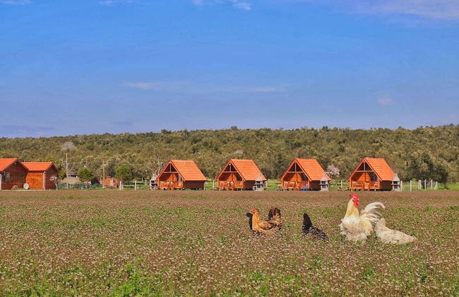Ayvalık Sural Çiftliği Since 1899 - Foto 24