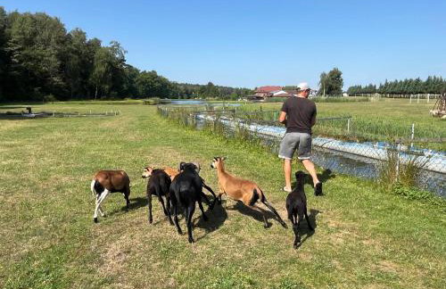 Tawerna Pod Kotwicą pokoje i domy wakacyjne - Foto 26