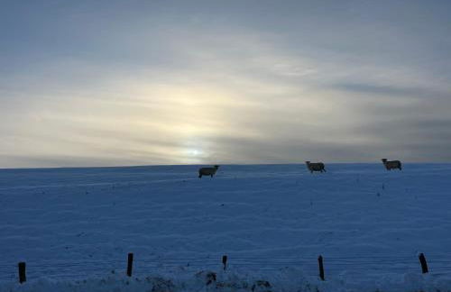 Hyggelig am Deich - Photo 23