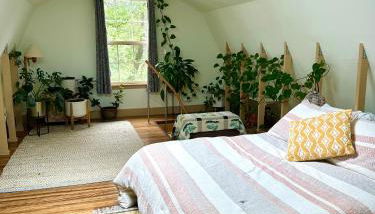 Blissful Acres hilltop cottage - Photo 4