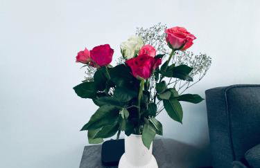 Holly Terrace - 2 Bedrooms - Sleeps 3 - Photo 6