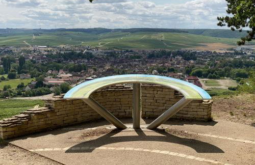 Le Merrain gîte plein coeur de Chablis - Foto 24