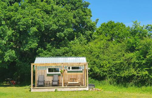 Dartmoor Reach Alpaca Farm - Foto 28