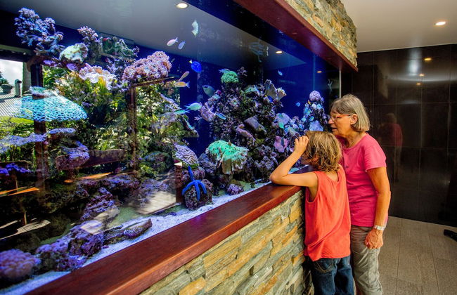 BIG4 Gold Coast Holiday Park - Foto 77