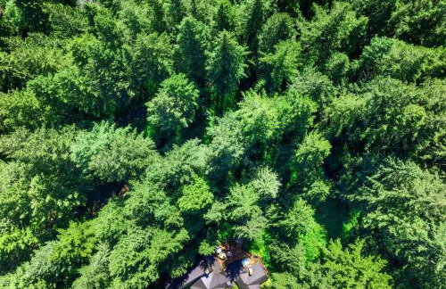 Forrest Lodge Large Private Luxury w Hot Tub - Foto 7