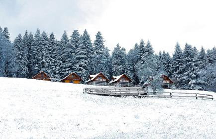 Domki w Kasinie - Foto 32