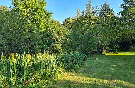 Detached Bungalow in North Cornwall - Foto 13